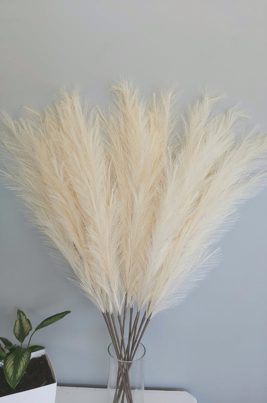 Extra Large Pampas Grass in Cream