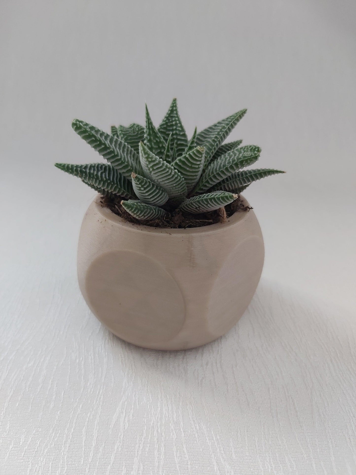 3D printed succulent pots, vases, cactus pots modern planter - Wifestyle Products