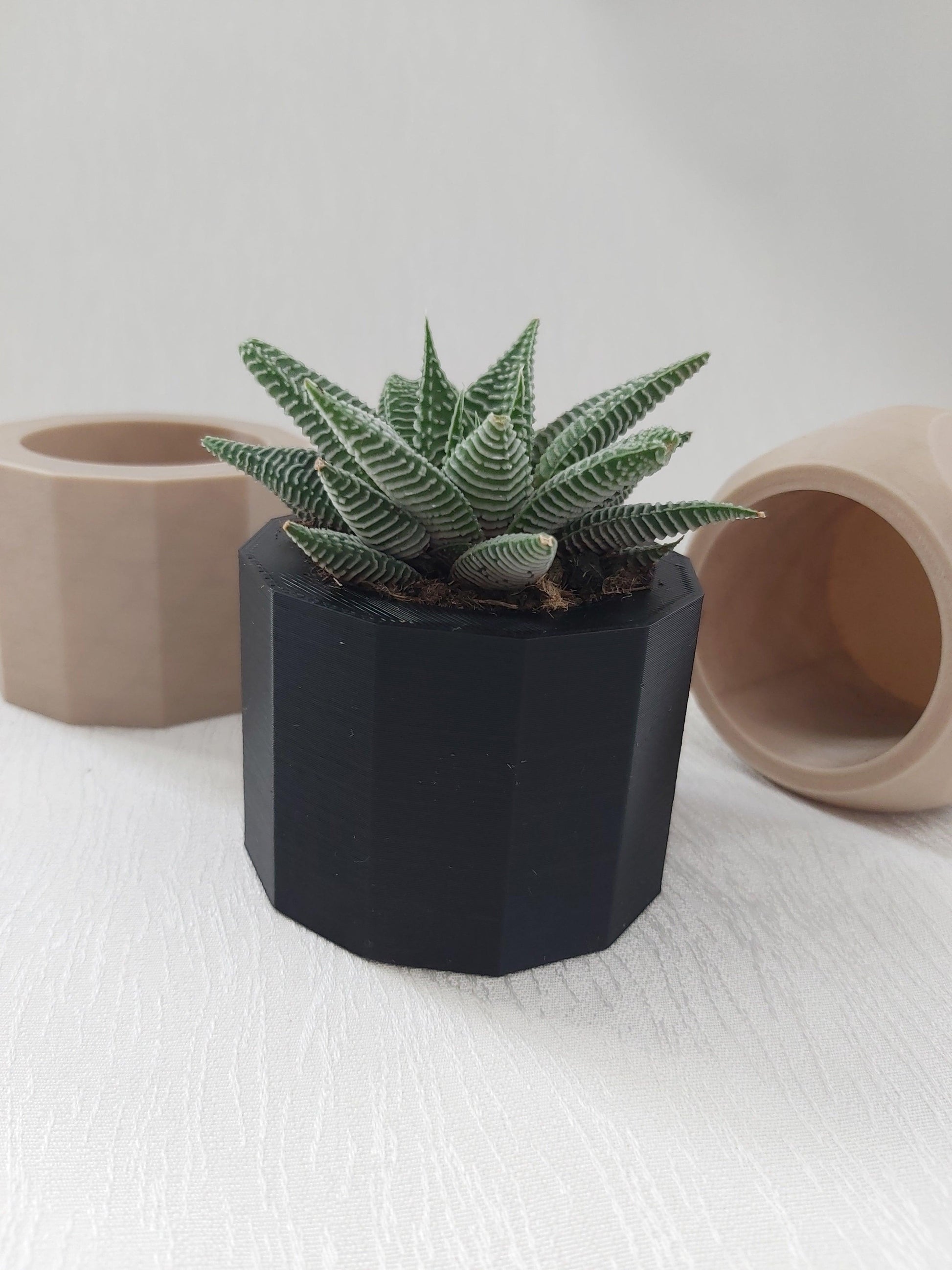 3D printed succulent pots, vases, cactus pots modern planter - Wifestyle Products