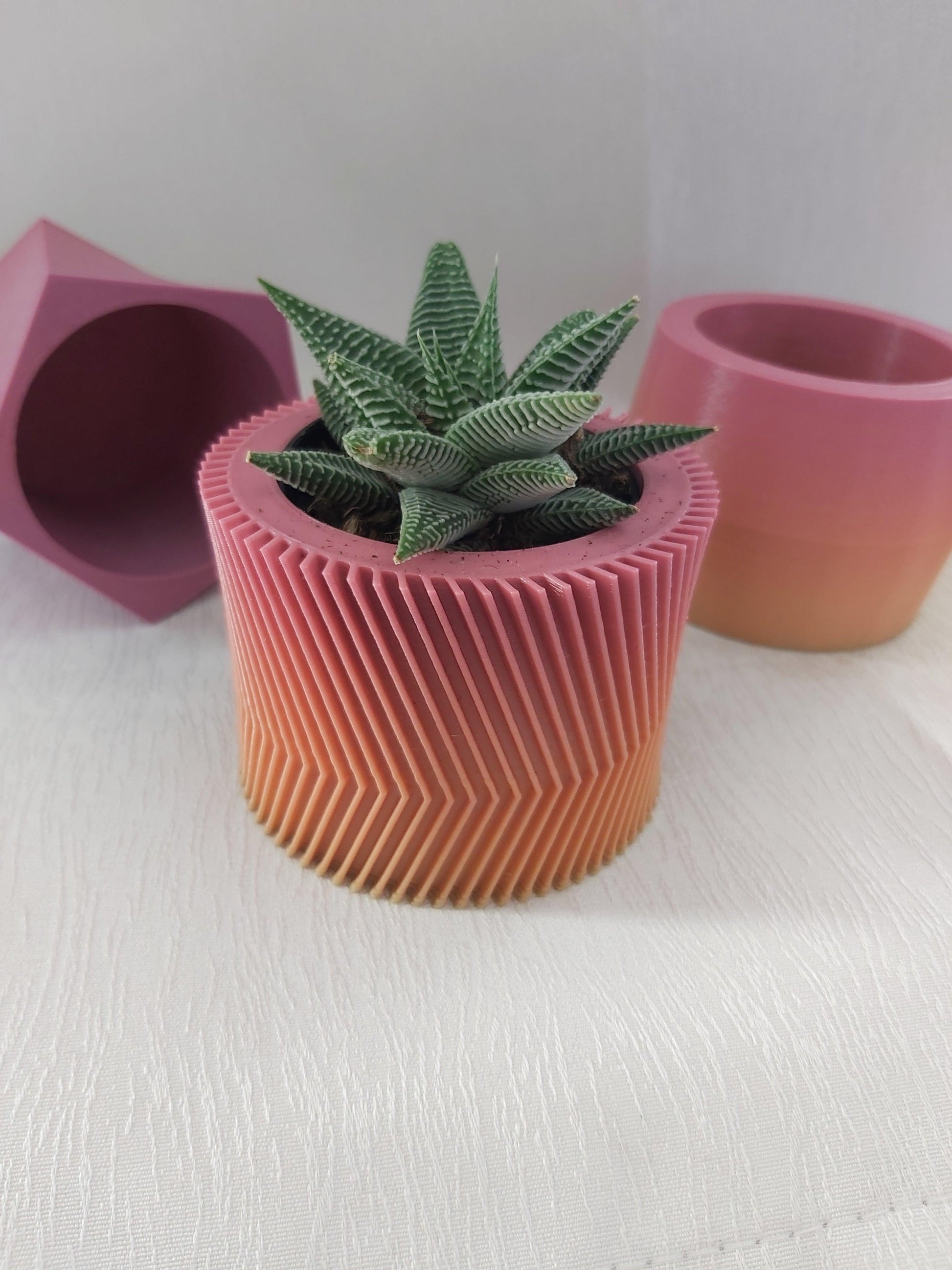 3D printed succulent pots, vases, cactus pots modern planter - Wifestyle Products