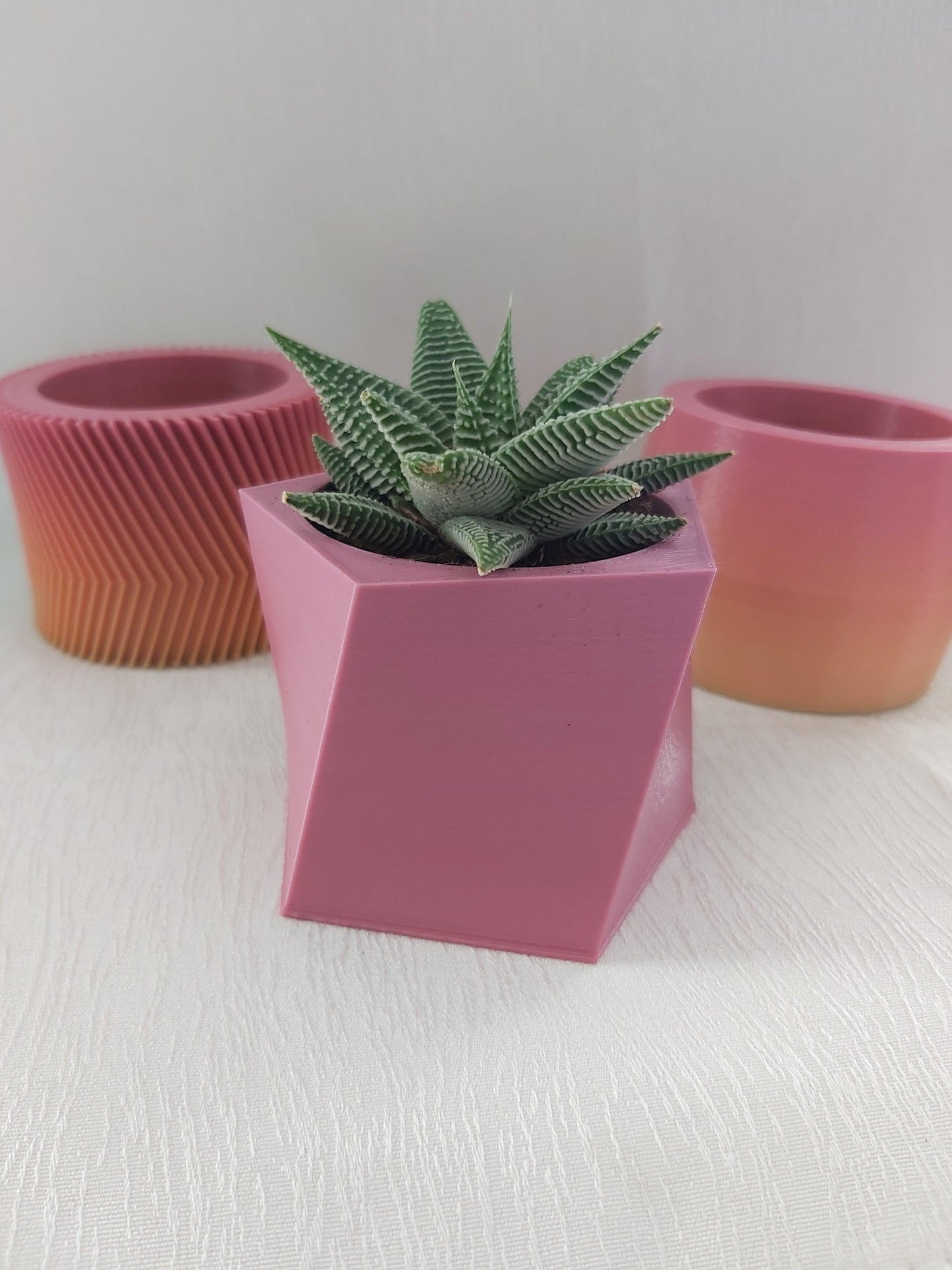 3D printed succulent pots, vases, cactus pots modern planter - Wifestyle Products